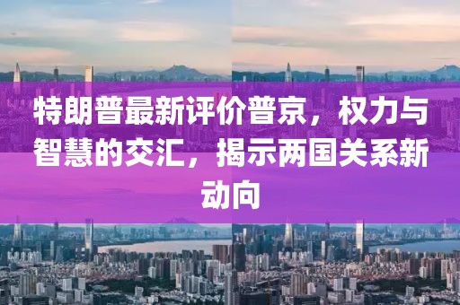 特朗普最新评价普京，权力与智慧的交汇，揭示两国关系新动向
