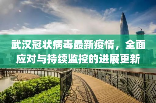 武汉冠状病毒最新疫情，全面应对与持续监控的进展更新
