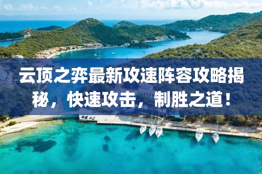 云顶之弈最新攻速阵容攻略揭秘，快速攻击，制胜之道！