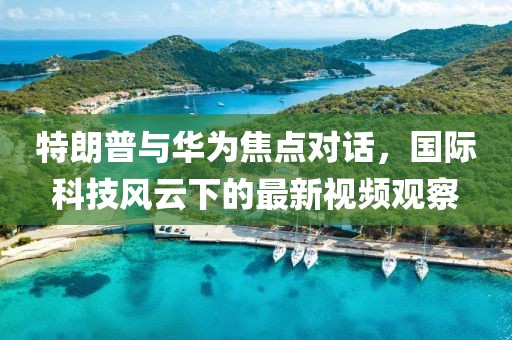 特朗普与华为焦点对话，国际科技风云下的最新视频观察