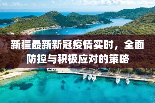 新疆最新新冠疫情实时，全面防控与积极应对的策略