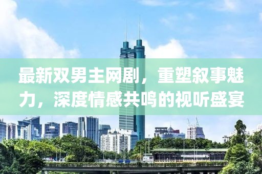 最新双男主网剧，重塑叙事魅力，深度情感共鸣的视听盛宴