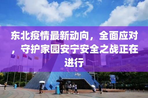 东北疫情最新动向，全面应对，守护家园安宁安全之战正在进行