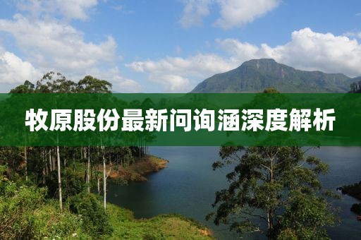 牧原股份最新问询涵深度解析