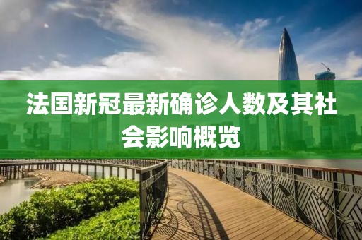 法国新冠最新确诊人数及其社会影响概览