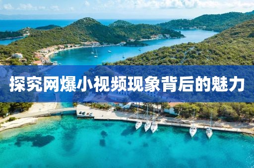 探究网爆小视频现象背后的魅力