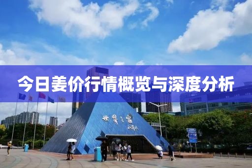 今日姜价行情概览与深度分析