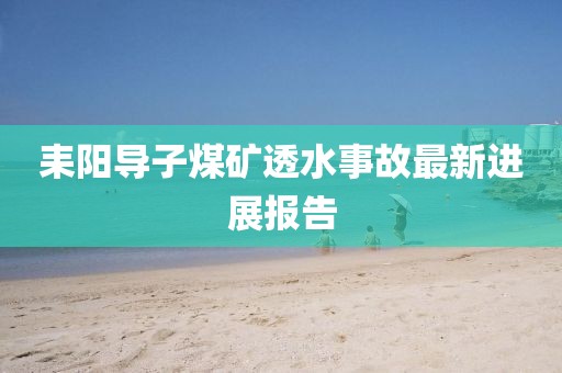 耒阳导子煤矿透水事故最新进展报告