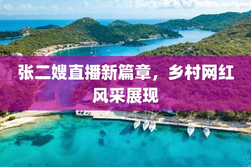 张二嫂直播新篇章，乡村网红风采展现