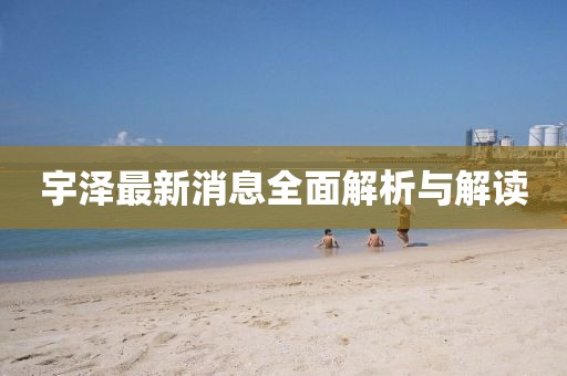 宇泽最新消息全面解析与解读