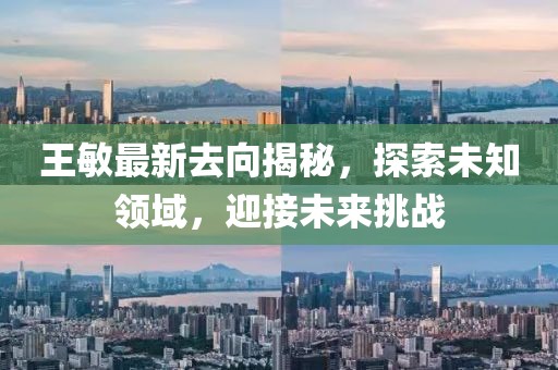 王敏最新去向揭秘，探索未知领域，迎接未来挑战