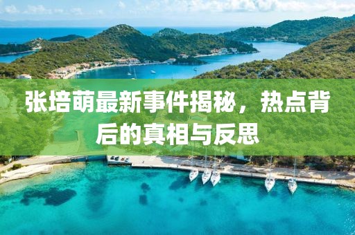 张培萌最新事件揭秘，热点背后的真相与反思