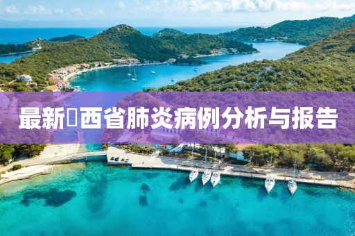 最新冮西省肺炎病例分析与报告