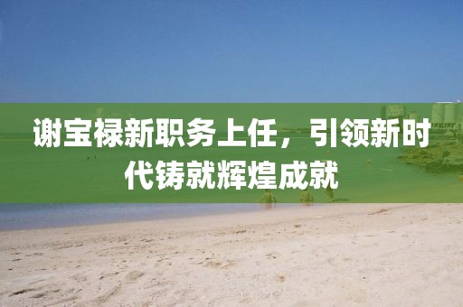 谢宝禄新职务上任，引领新时代铸就辉煌成就