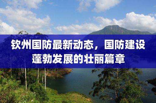 钦州国防最新动态，国防建设蓬勃发展的壮丽篇章