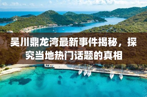 吴川鼎龙湾最新事件揭秘，探究当地热门话题的真相