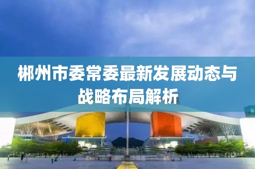 郴州市委常委最新发展动态与战略布局解析