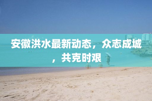 安徽洪水最新动态，众志成城，共克时艰