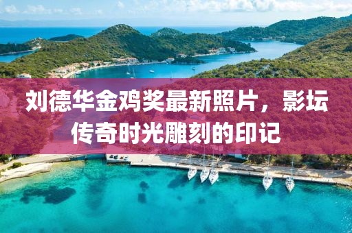 刘德华金鸡奖最新照片，影坛传奇时光雕刻的印记