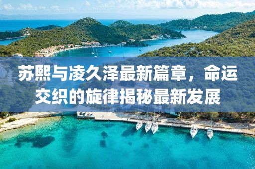 苏熙与凌久泽最新篇章，命运交织的旋律揭秘最新发展