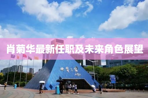 肖菊华最新任职及未来角色展望