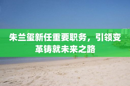 朱兰玺新任重要职务，引领变革铸就未来之路