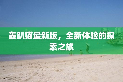 轰趴猫最新版，全新体验的探索之旅