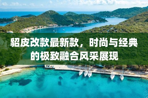 貂皮改款最新款，时尚与经典的极致融合风采展现