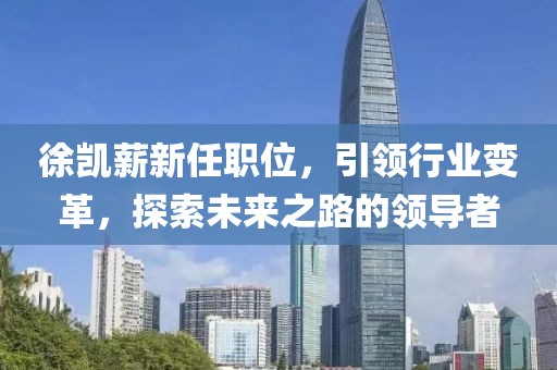 徐凯薪新任职位，引领行业变革，探索未来之路的领导者
