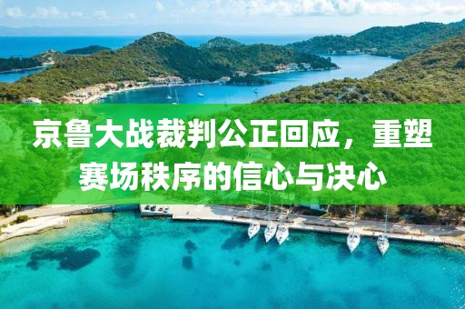 京鲁大战裁判公正回应，重塑赛场秩序的信心与决心