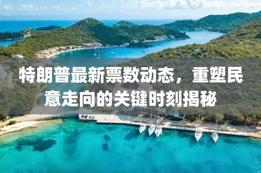 特朗普最新票数动态，重塑民意走向的关键时刻揭秘