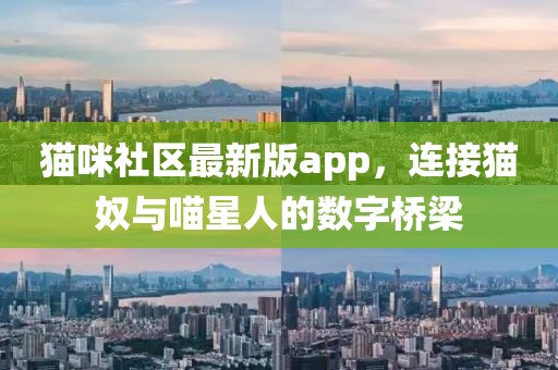 猫咪社区最新版app，连接猫奴与喵星人的数字桥梁