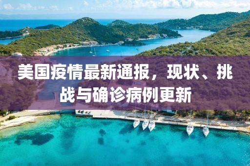 美国疫情最新通报，现状、挑战与确诊病例更新