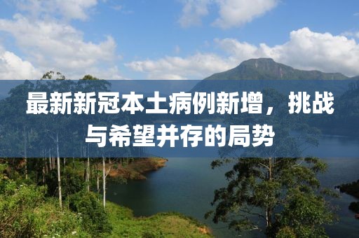 最新新冠本土病例新增，挑战与希望并存的局势