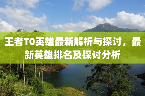 王者T0英雄最新解析与探讨，最新英雄排名及探讨分析