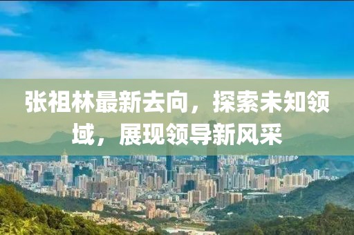 张祖林最新去向，探索未知领域，展现领导新风采