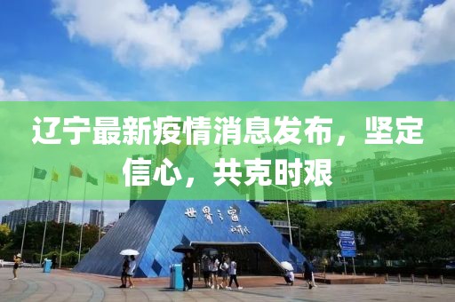 辽宁最新疫情消息发布，坚定信心，共克时艰
