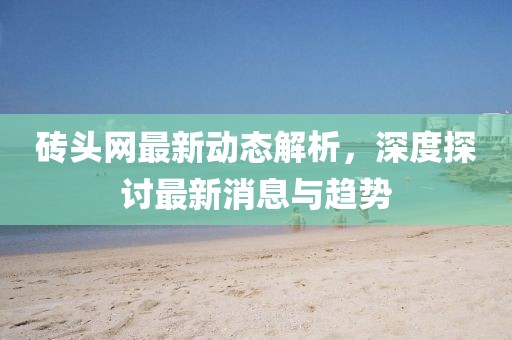砖头网最新动态解析，深度探讨最新消息与趋势