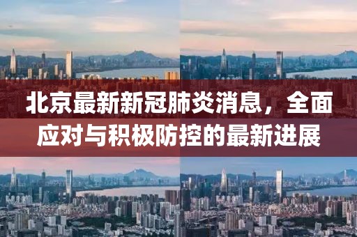 北京最新新冠肺炎消息，全面应对与积极防控的最新进展