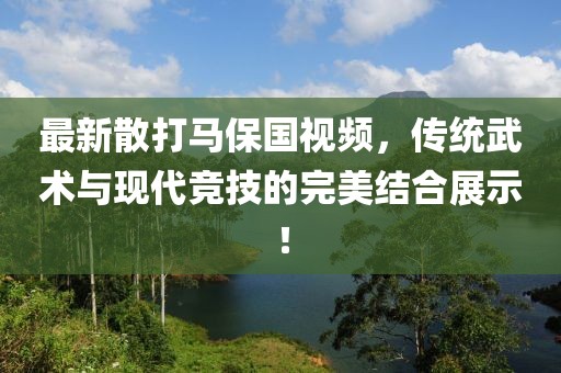 最新散打马保国视频，传统武术与现代竞技的完美结合展示！