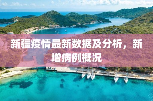 新疆疫情最新数据及分析，新增病例概况