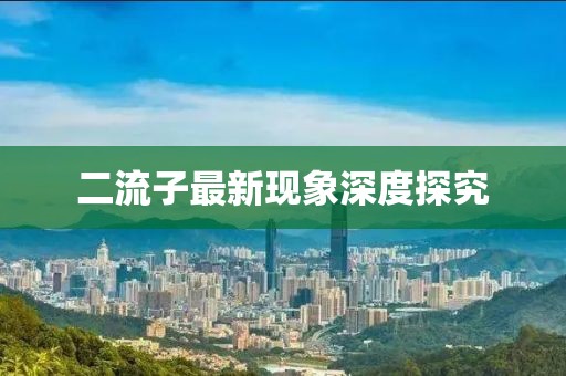 二流子最新现象深度探究