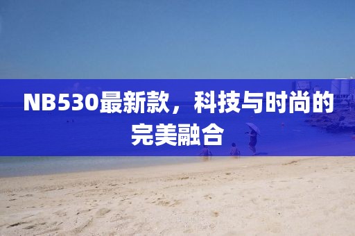 NB530最新款，科技与时尚的完美融合