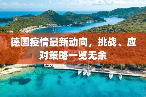 德国疫情最新动向，挑战、应对策略一览无余