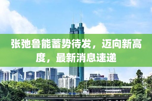 张弛鲁能蓄势待发，迈向新高度，最新消息速递