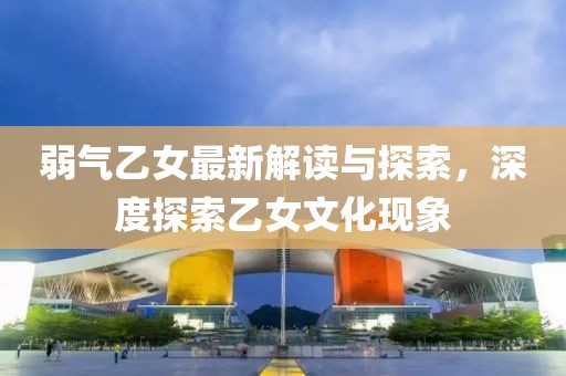 弱气乙女最新解读与探索，深度探索乙女文化现象