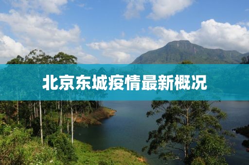 北京东城疫情最新概况