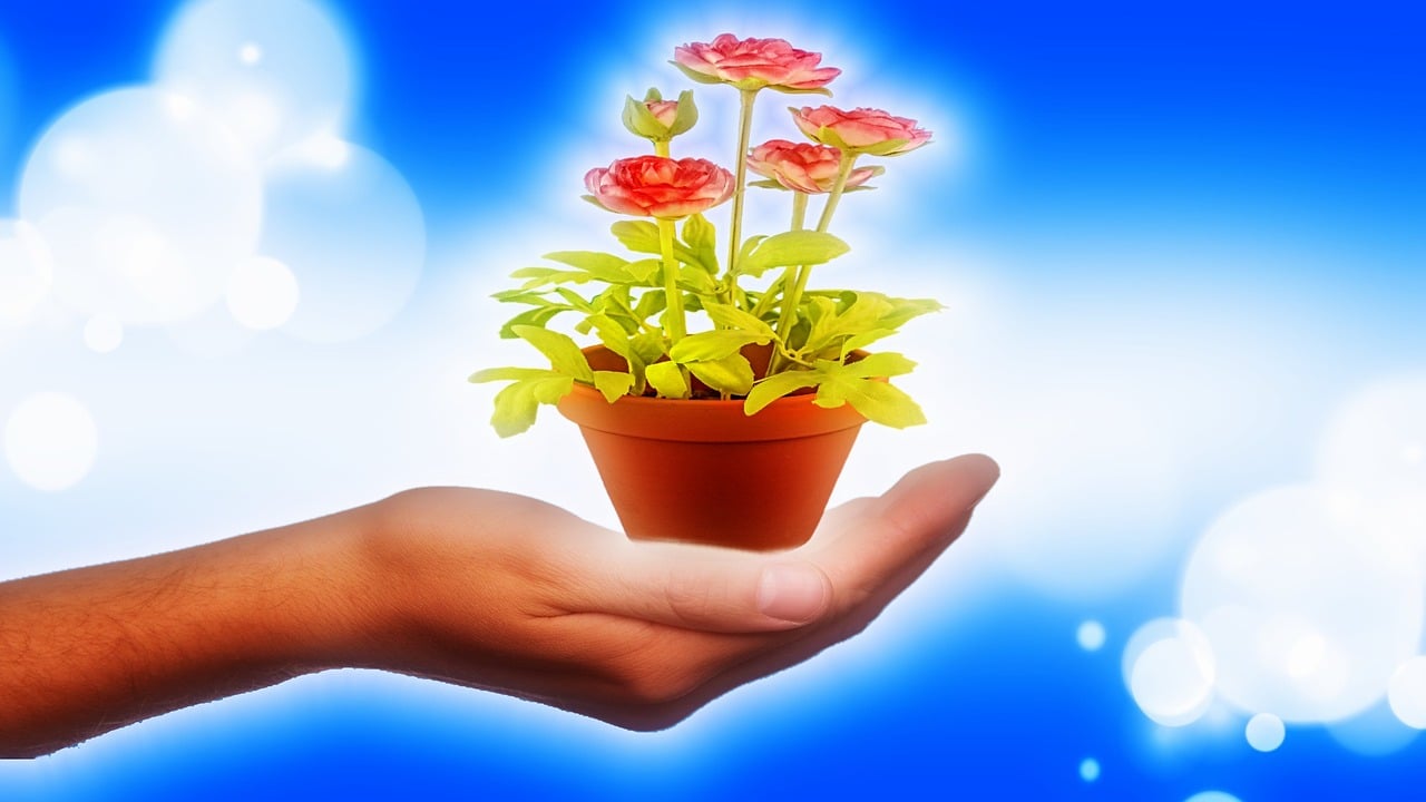 教师节礼物最新视频，致敬师恩，感恩献礼！