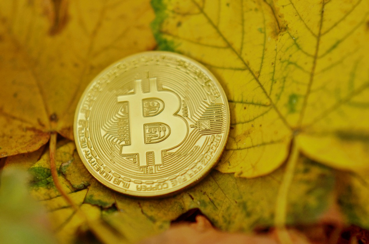全球最新信息网，连接世界，掌握未来动态