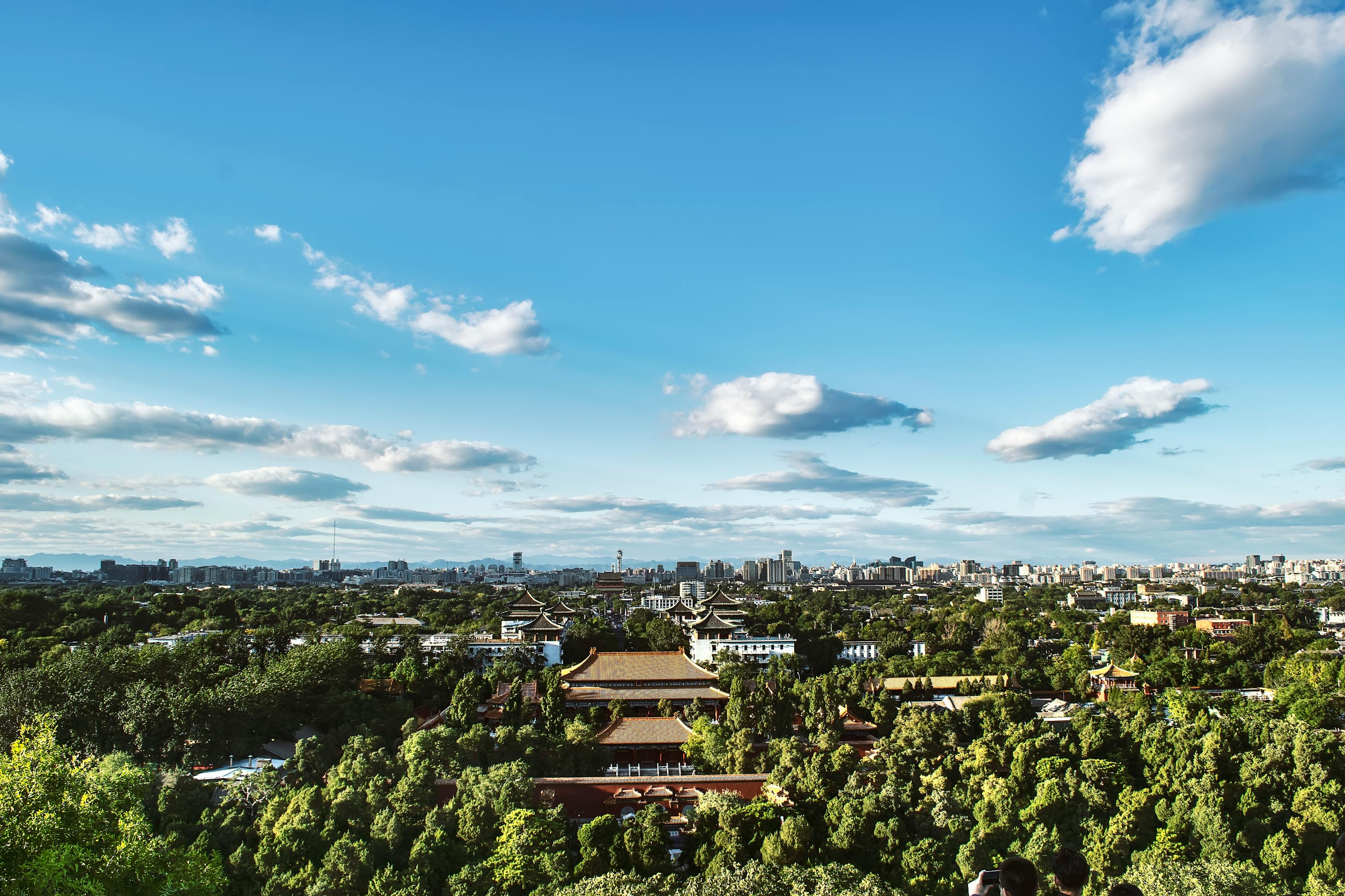 小乌龟 第34页